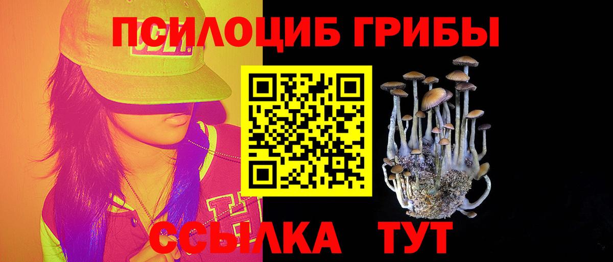 Галлюциногенные грибы Cubensis  Вход с VPN  Нарьян-Мар  Галлюциногенные грибы MAGIC MUSHROOMS 